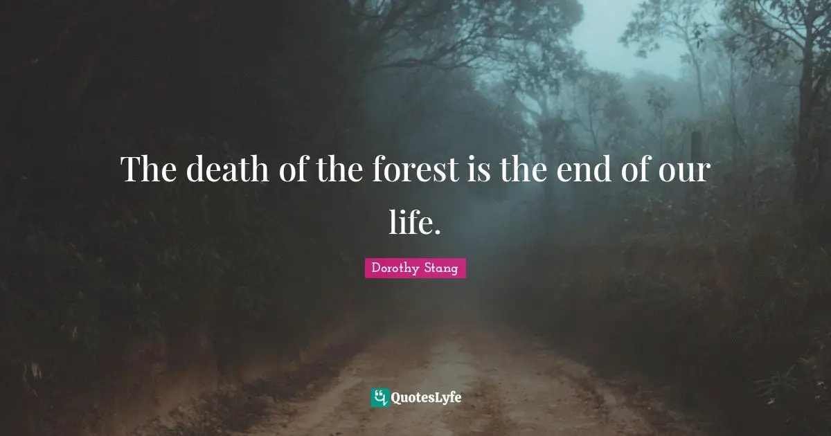 The death of the forest is the end of our life.