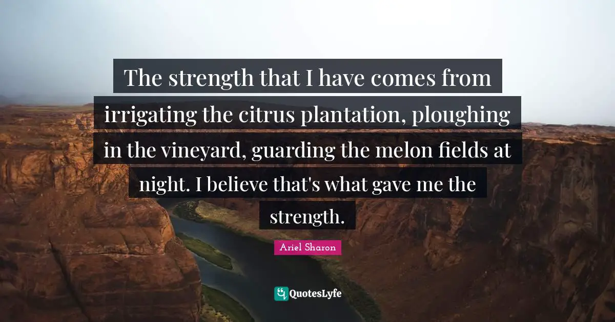 The strength that I have comes from irrigating the citrus plantation, ploughing in the vineyard, guarding the melon fields at night. I believe that's what gave me the strength.