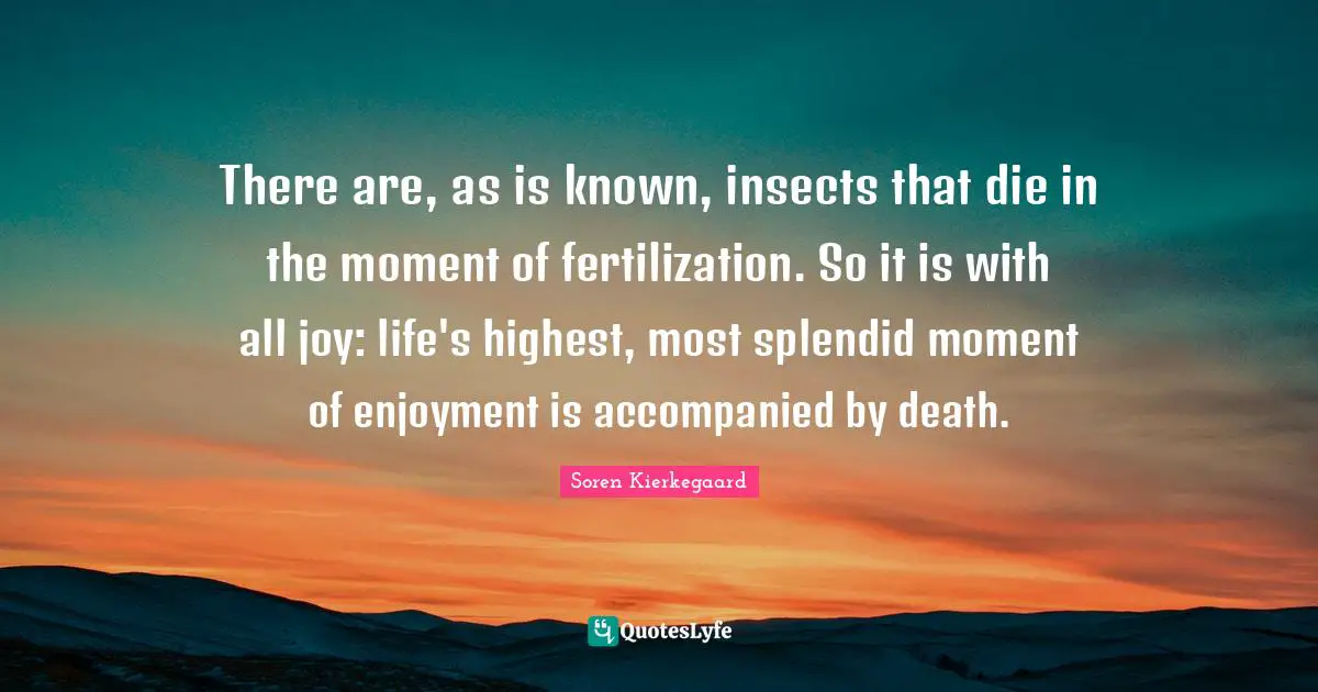 There are, as is known, insects that die in the moment of fertilization. So it is with all joy: life's highest, most splendid moment of enjoyment is accompanied by death.