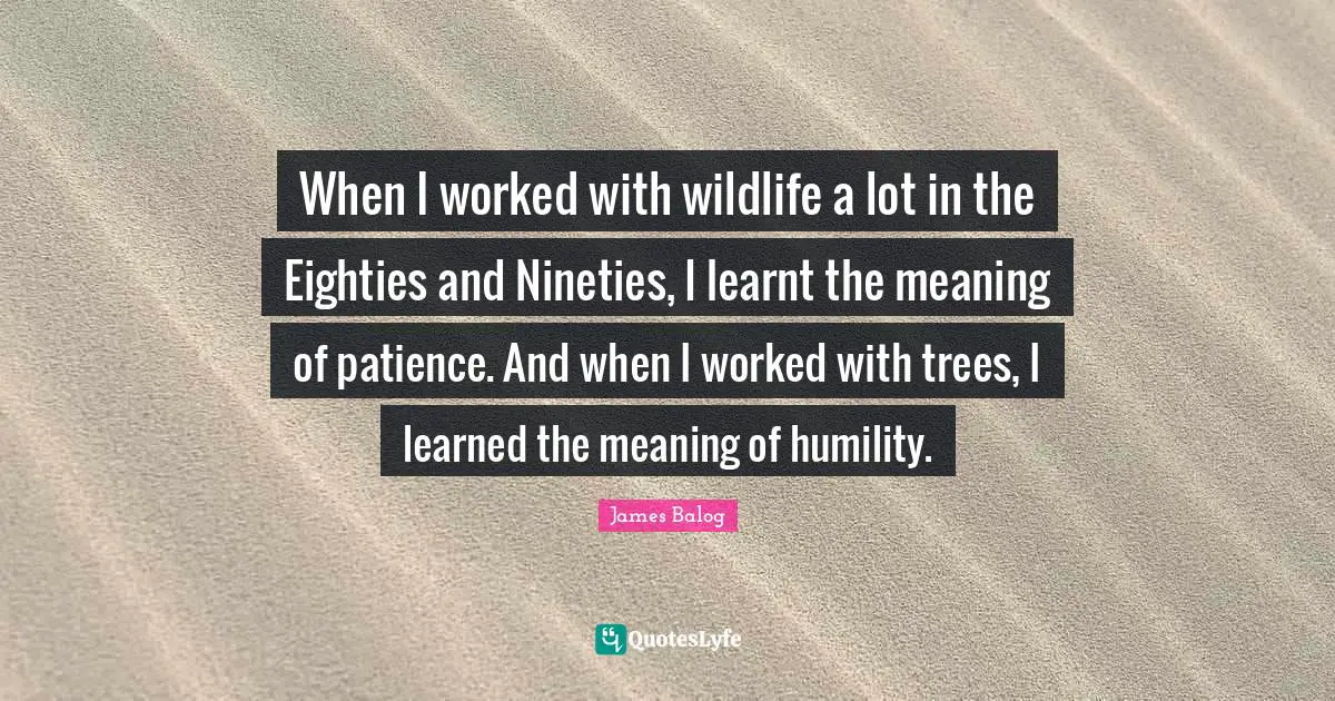 When I worked with wildlife a lot in the Eighties and Nineties, I learnt the meaning of patience. And when I worked with trees, I learned the meaning of humility.