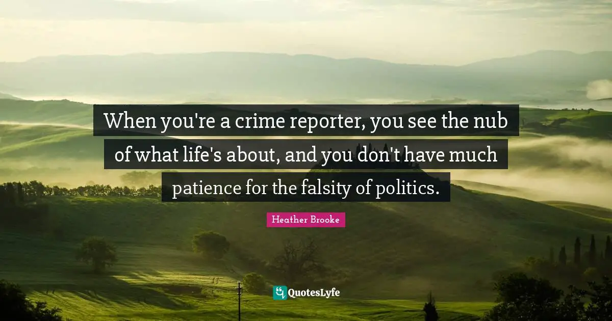 When you're a crime reporter, you see the nub of what life's about, and you don't have much patience for the falsity of politics.