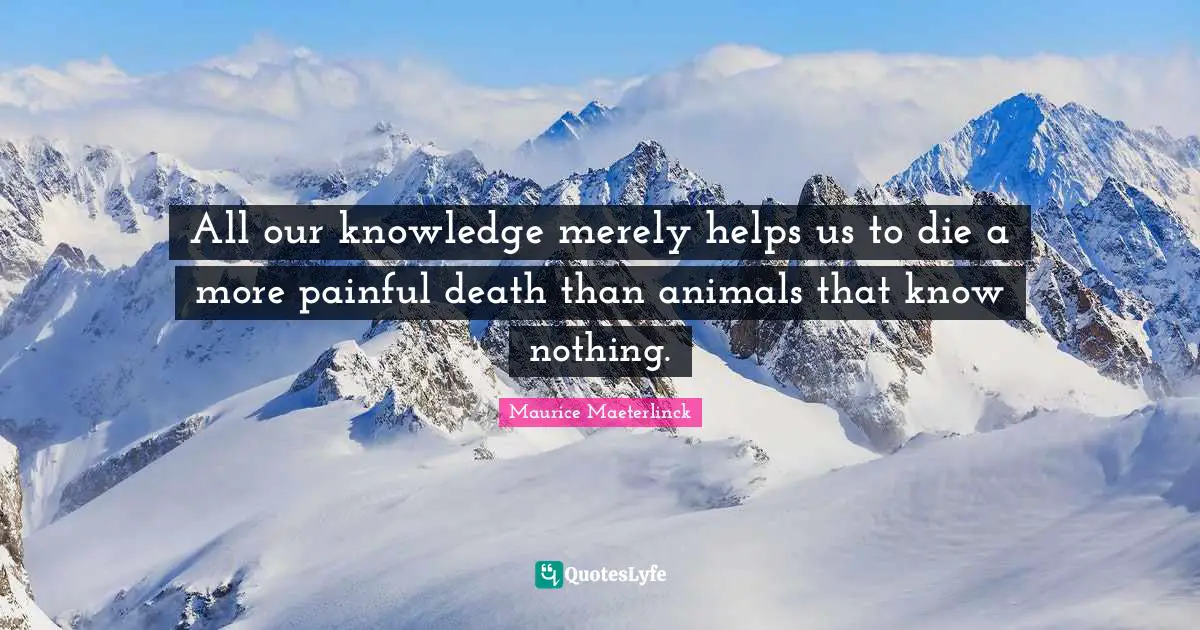 All our knowledge merely helps us to die a more painful death than animals that know nothing.