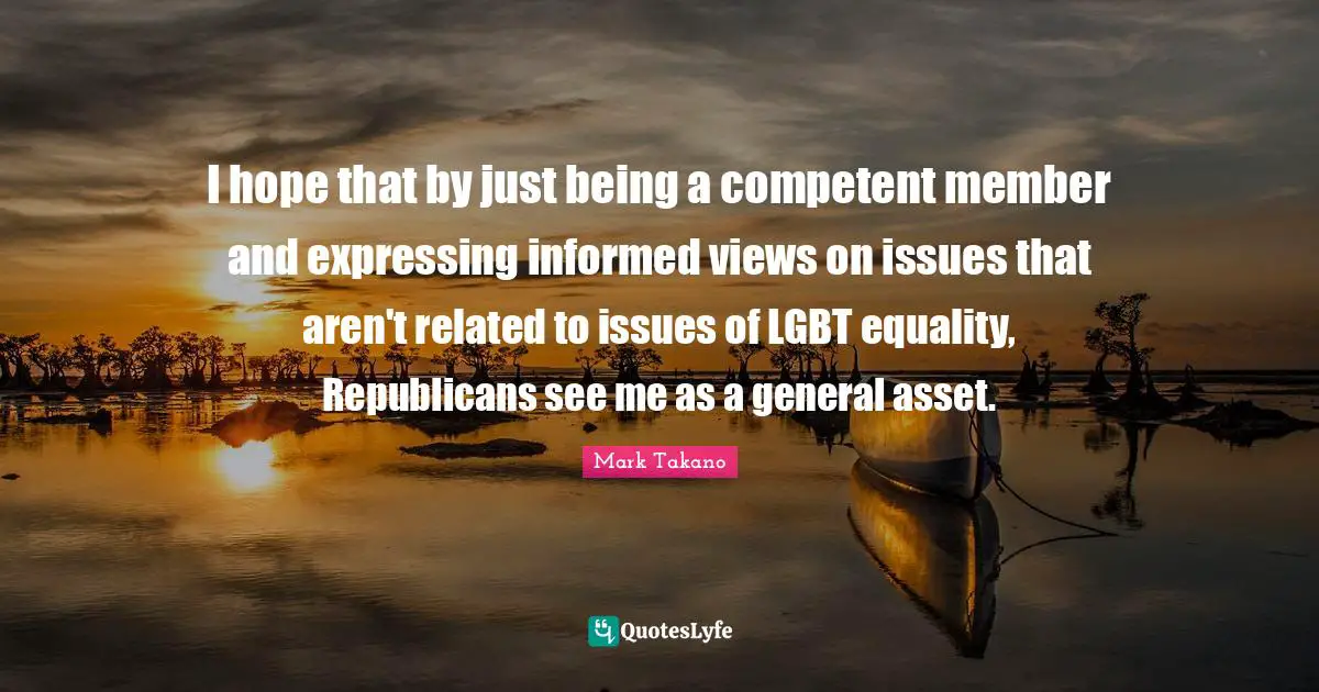 I hope that by just being a competent member and expressing informed views on issues that aren't related to issues of LGBT equality, Republicans see me as a general asset.