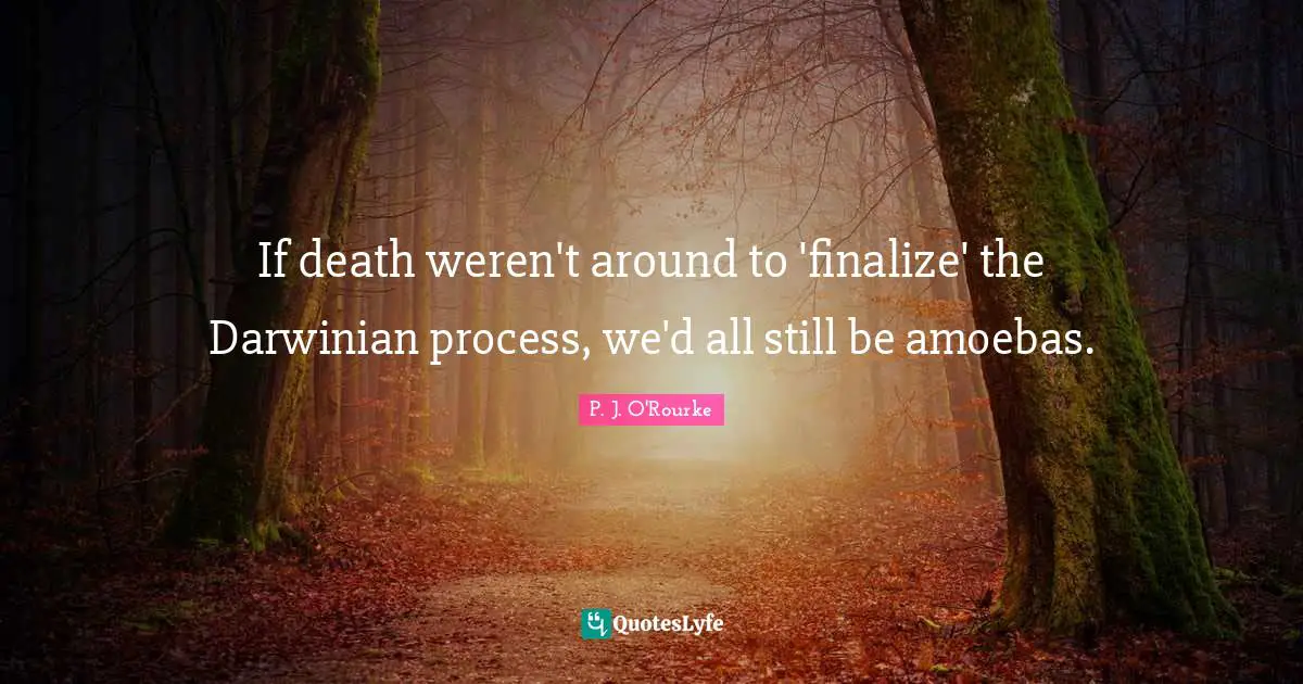If death weren't around to 'finalize' the Darwinian process, we'd all still be amoebas.