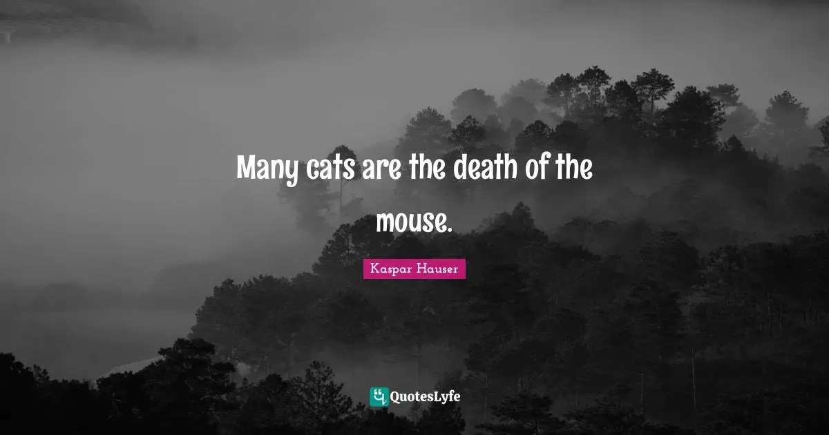 Many cats are the death of the mouse.