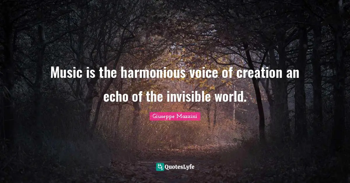 Music is the harmonious voice of creation an echo of the invisible world.