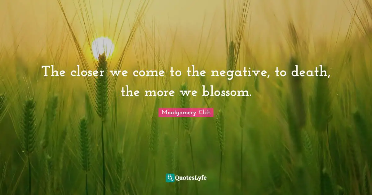 The closer we come to the negative, to death, the more we blossom.