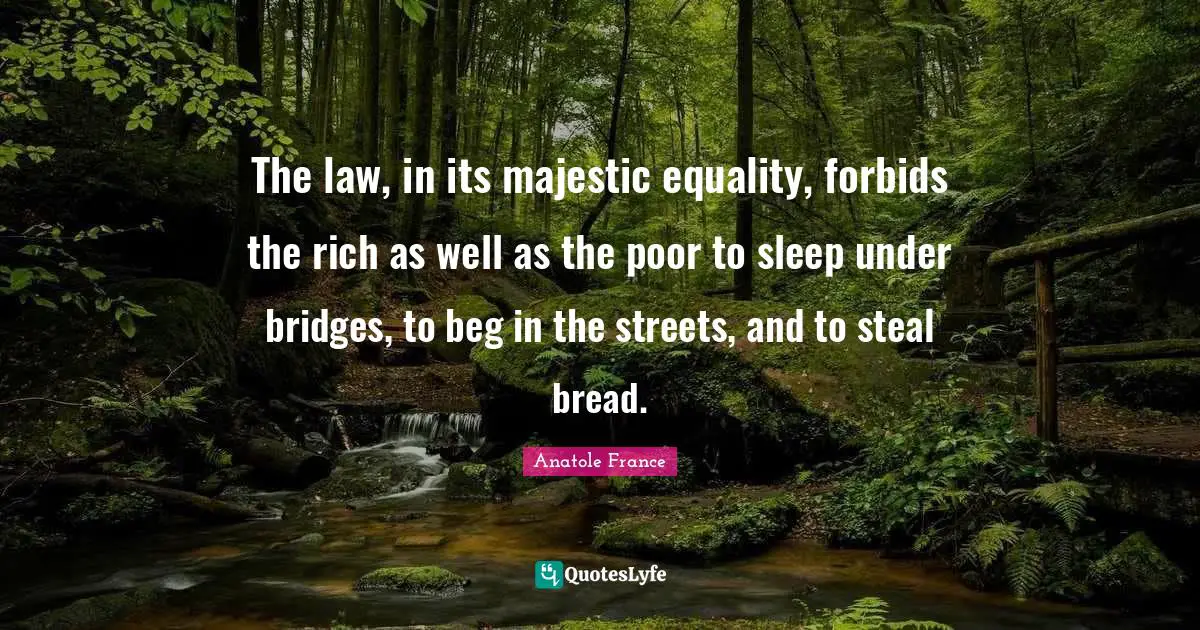 The law, in its majestic equality, forbids the rich as well as the poor to sleep under bridges, to beg in the streets, and to steal bread.