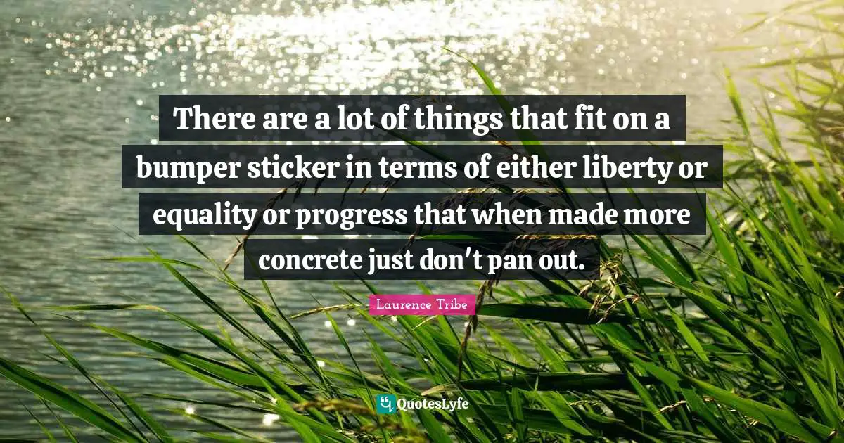 There are a lot of things that fit on a bumper sticker in terms of either liberty or equality or progress that when made more concrete just don't pan out.