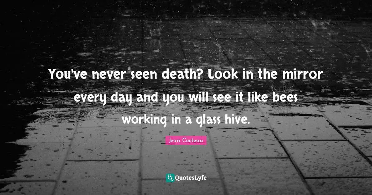 You've never seen death? Look in the mirror every day and you will see it like bees working in a glass hive.