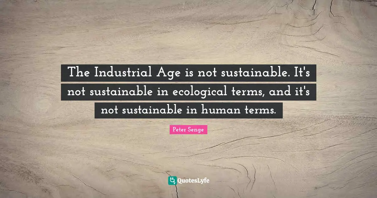 The Industrial Age is not sustainable. It's not sustainable in ecological terms, and it's not sustainable in human terms.