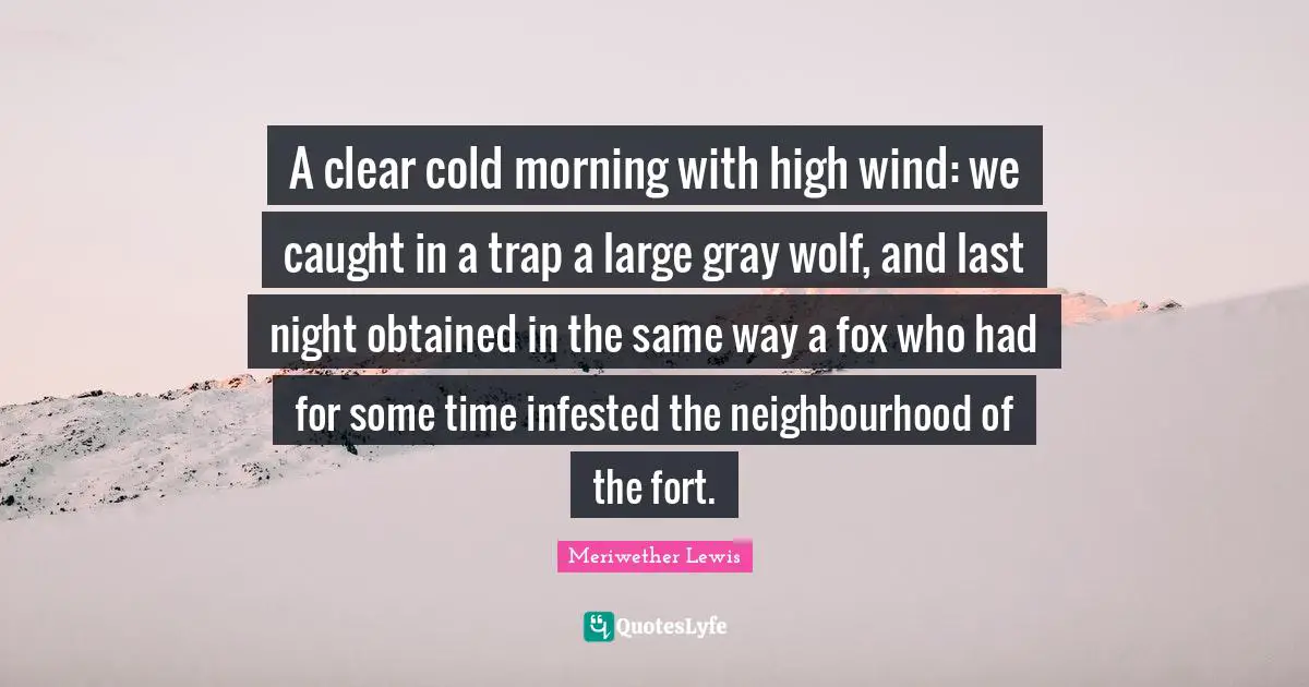 A clear cold morning with high wind: we caught in a trap a large gray wolf, and last night obtained in the same way a fox who had for some time infested the neighbourhood of the fort.