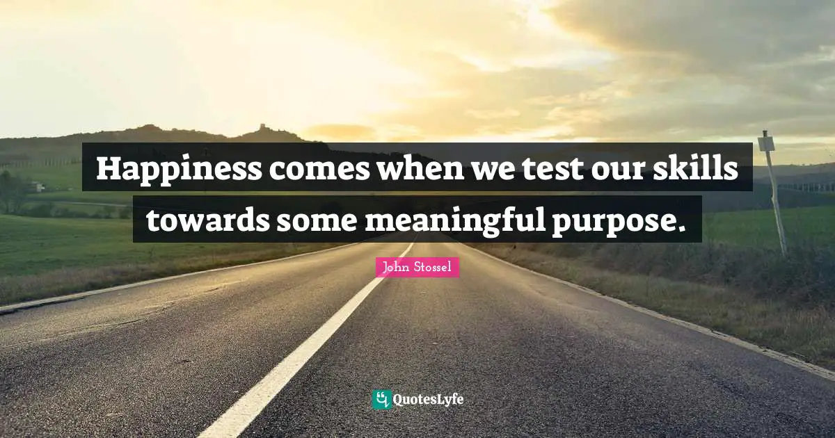 Happiness comes when we test our skills towards some meaningful purpose.