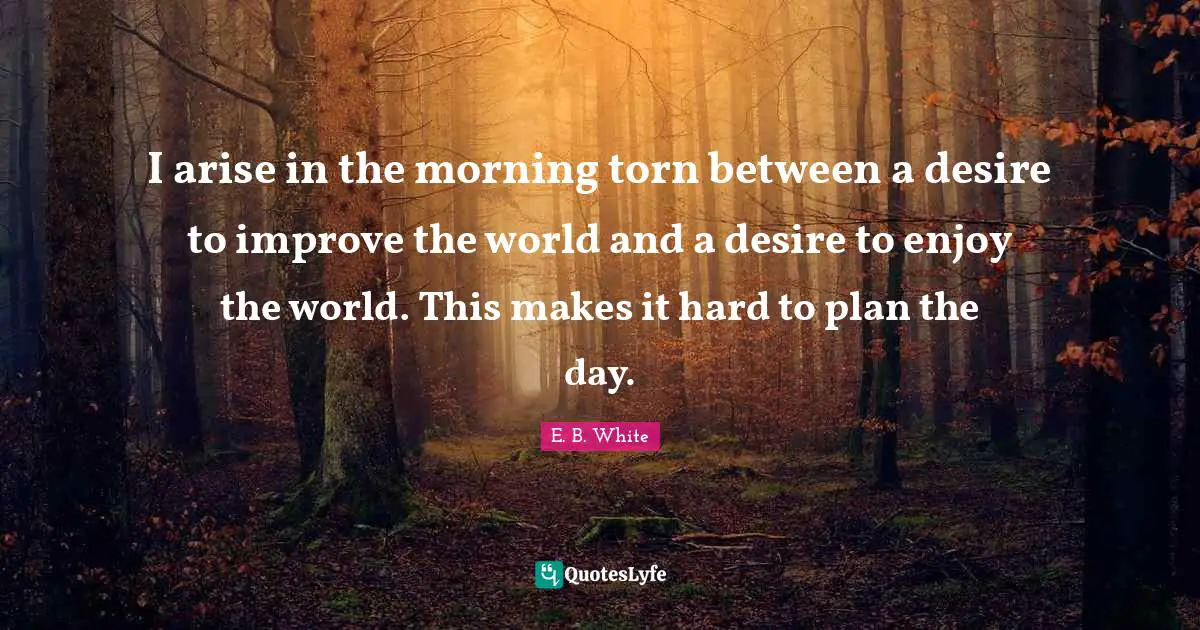 I arise in the morning torn between a desire to improve the world and a desire to enjoy the world. This makes it hard to plan the day.