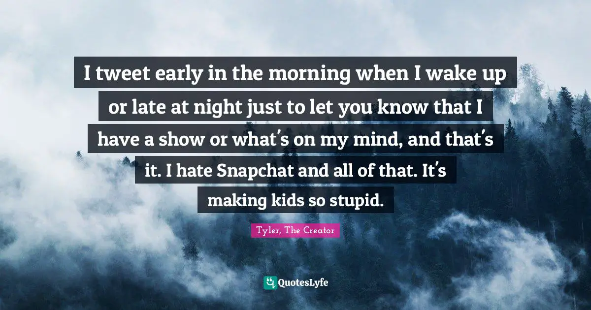 I tweet early in the morning when I wake up or late at night just to let you know that I have a show or what's on my mind, and that's it. I hate Snapchat and all of that. It's making kids so stupid.