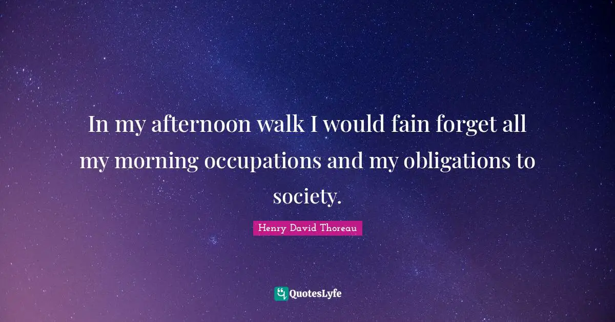 In my afternoon walk I would fain forget all my morning occupations and my obligations to society.