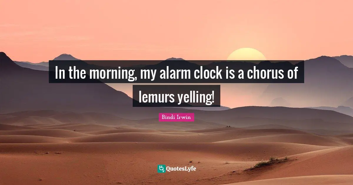 In the morning, my alarm clock is a chorus of lemurs yelling!