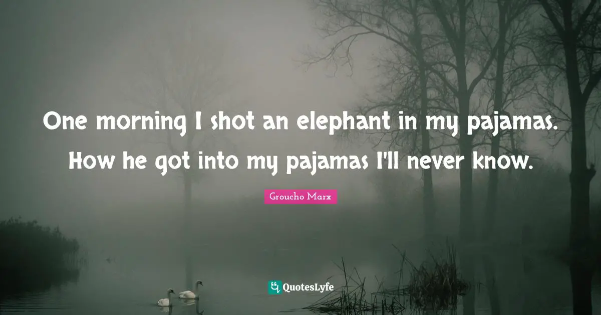 One morning I shot an elephant in my pajamas. How he got into my pajamas I'll never know.