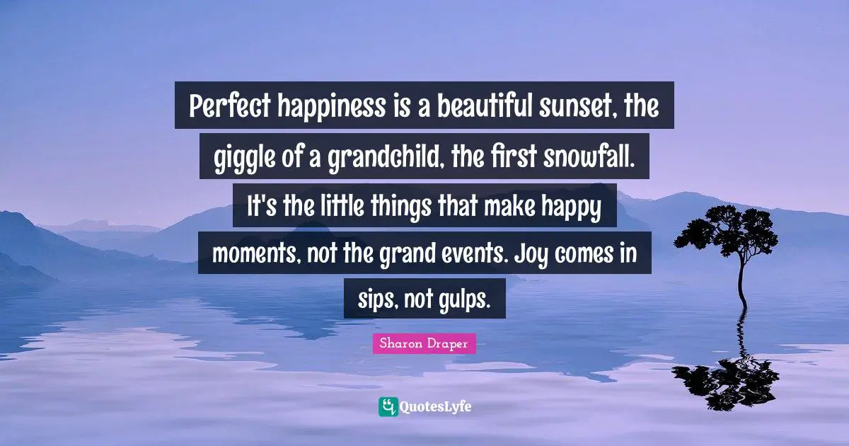 Perfect happiness is a beautiful sunset, the giggle of a grandchild, the first snowfall. It's the little things that make happy moments, not the grand events. Joy comes in sips, not gulps.