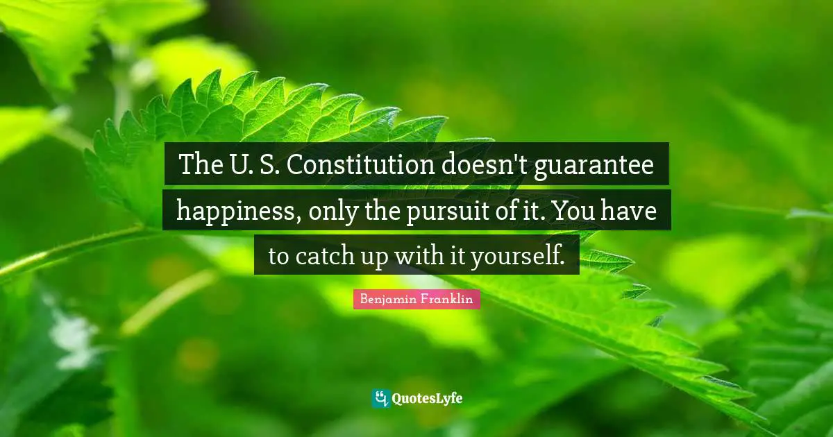 C.C. Franklin Quotes: "The U. S. Constitution doesn't guarantee happiness, only the pursuit of it. You have to catch up with it yourself."