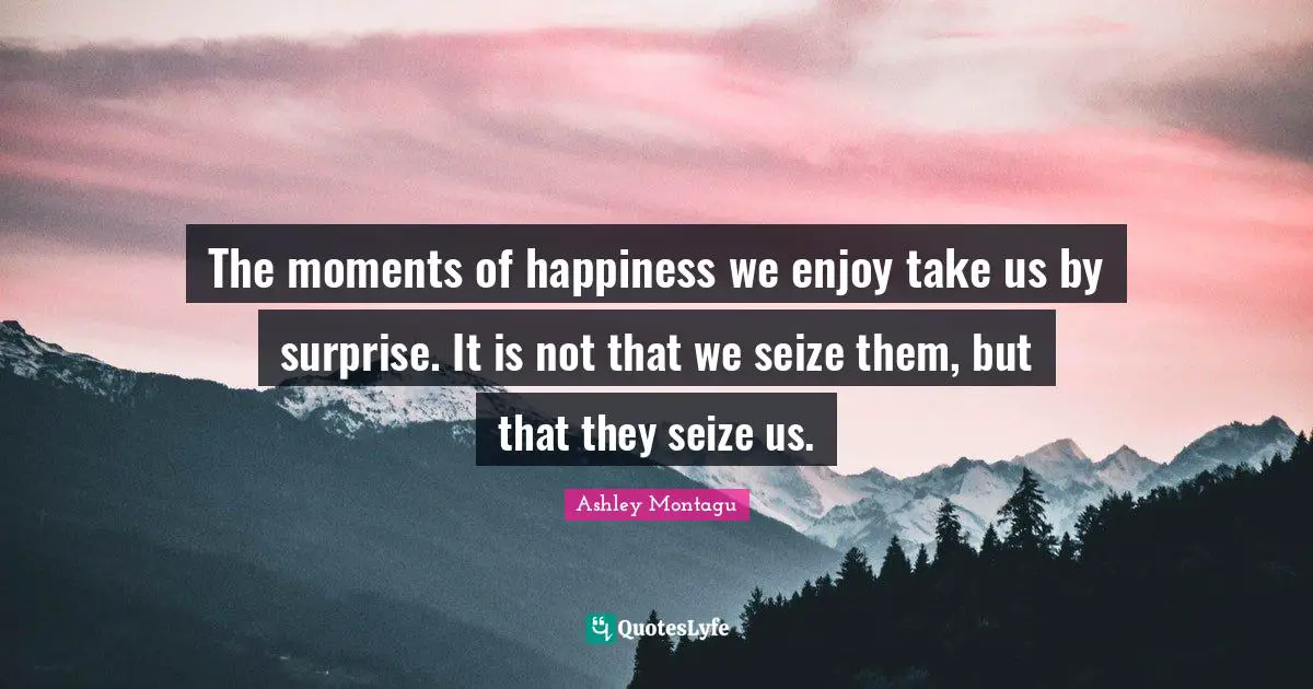 Ashley Montagu Quotes: "The moments of happiness we enjoy take us by surprise. It is not that we seize them, but that they seize us."