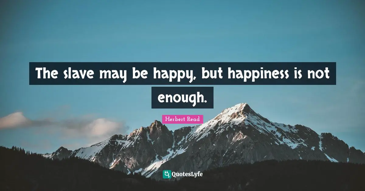 The slave may be happy, but happiness is not enough.