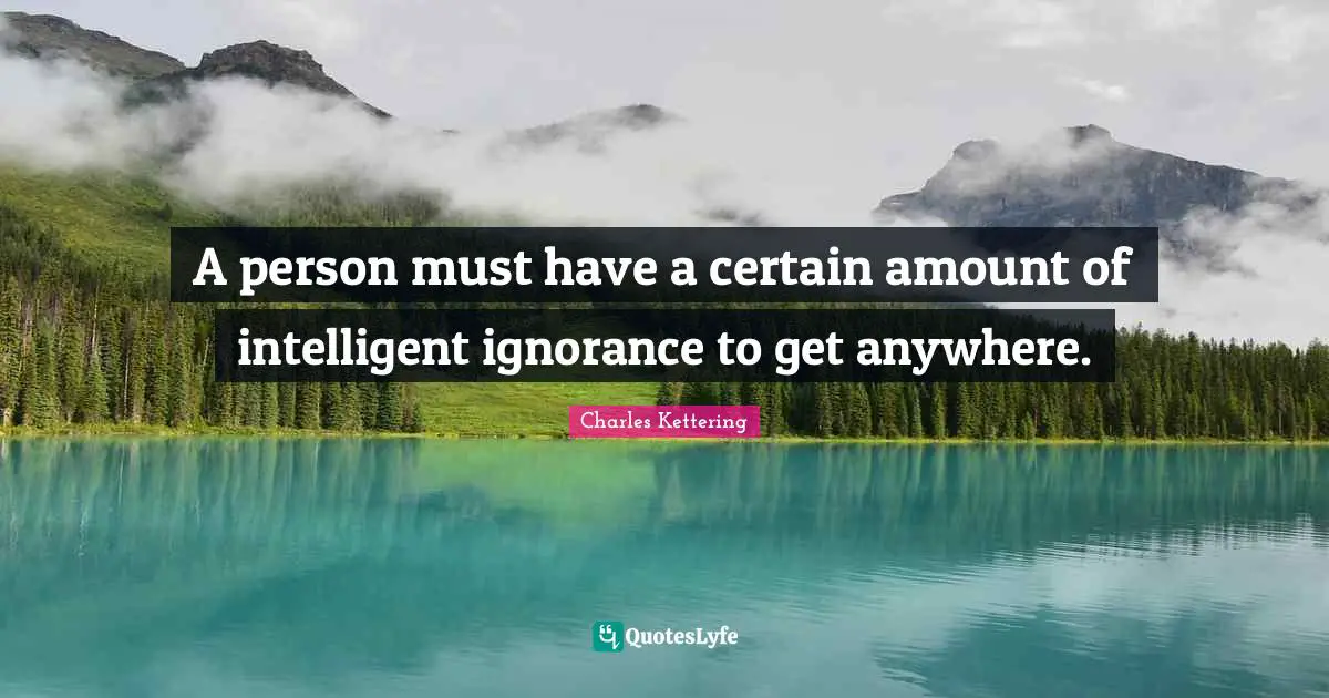 A person must have a certain amount of intelligent ignorance to get anywhere.