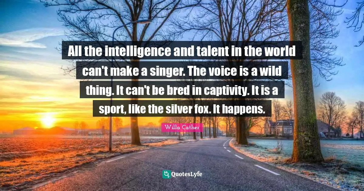 Willa Cather Quotes: "All the intelligence and talent in the world can't make a singer. The voice is a wild thing. It can't be bred in captivity. It is a sport, like the silver fox. It happens."