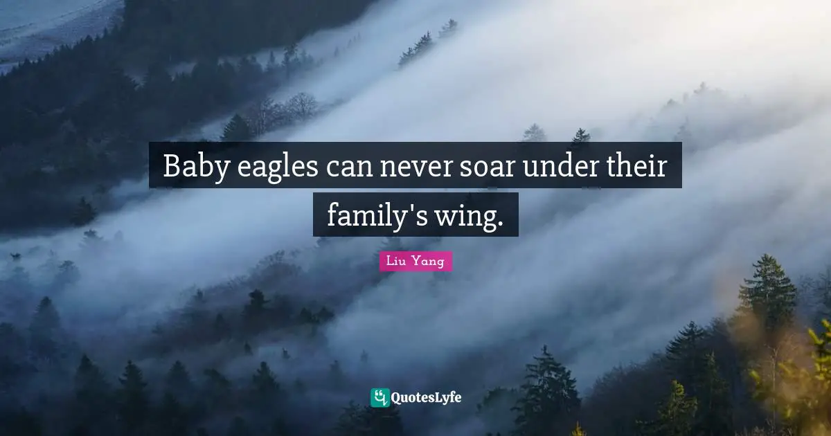 Baby eagles can never soar under their family's wing.