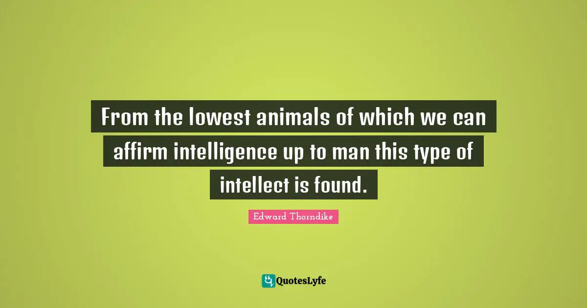 From the lowest animals of which we can affirm intelligence up to man this type of intellect is found.