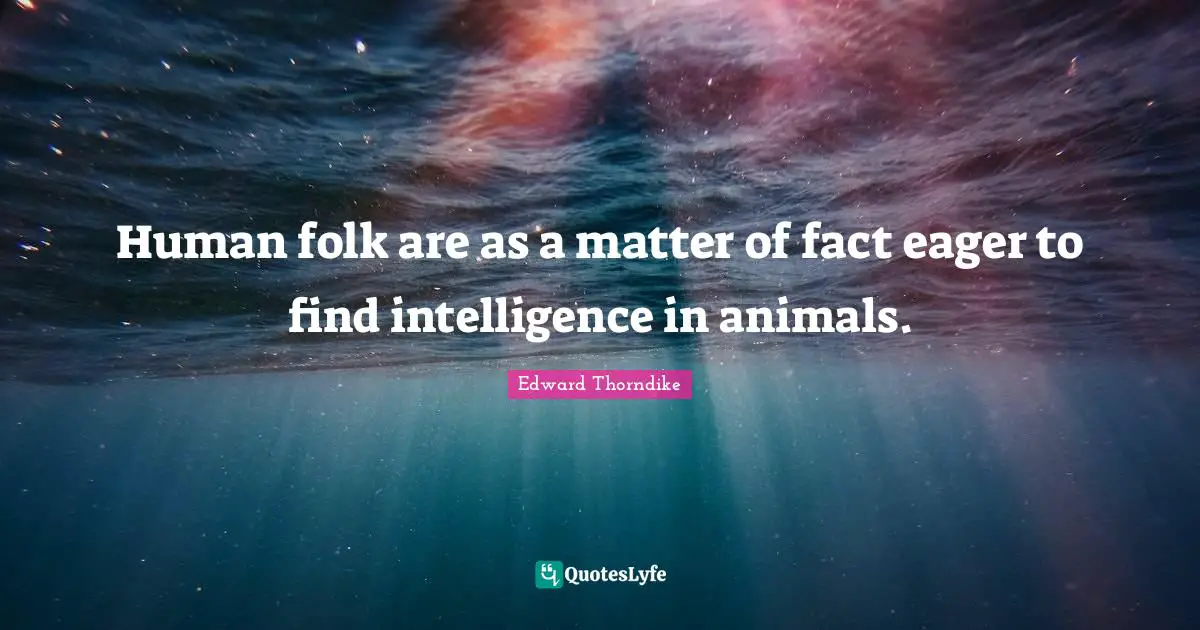 Human folk are as a matter of fact eager to find intelligence in animals.