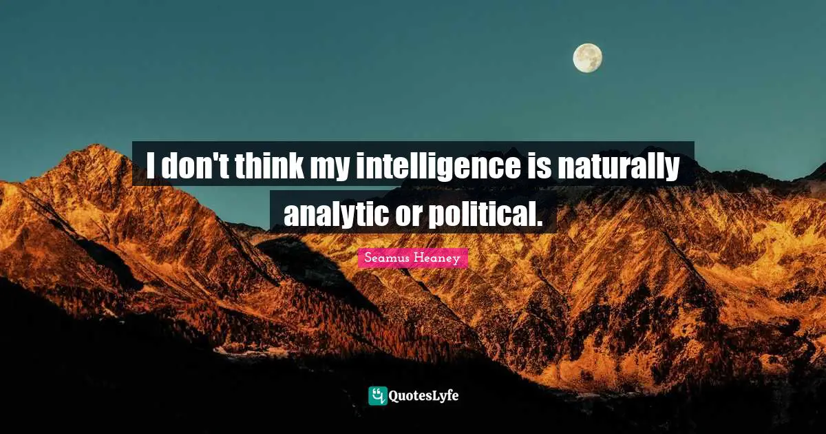 I don't think my intelligence is naturally analytic or political.