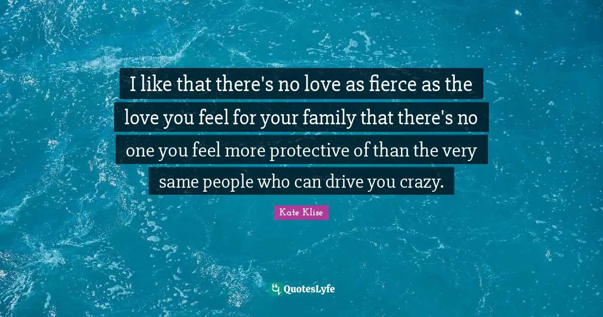 I like that there's no love as fierce as the love you feel for your family that there's no one you feel more protective of than the very same people who can drive you crazy.