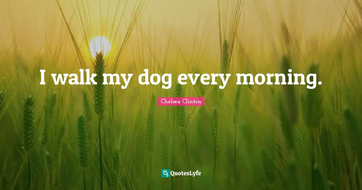 I walk my dog every morning.