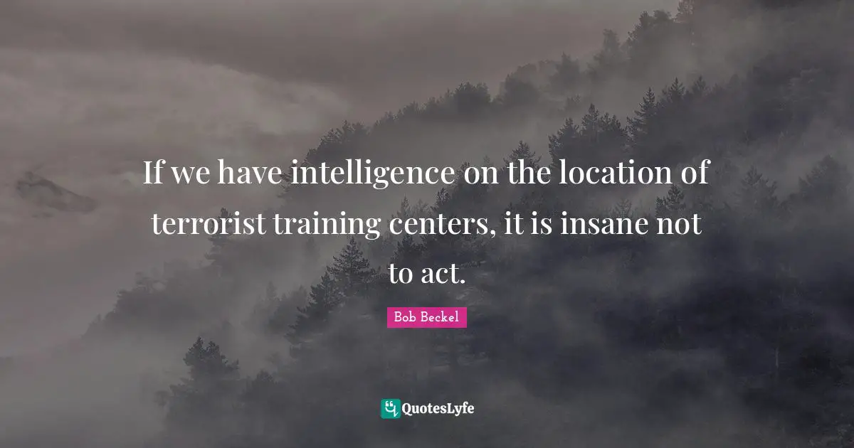 If we have intelligence on the location of terrorist training centers, it is insane not to act.