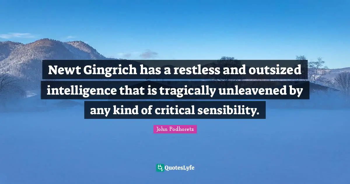 Newt Gingrich has a restless and outsized intelligence that is tragically unleavened by any kind of critical sensibility.