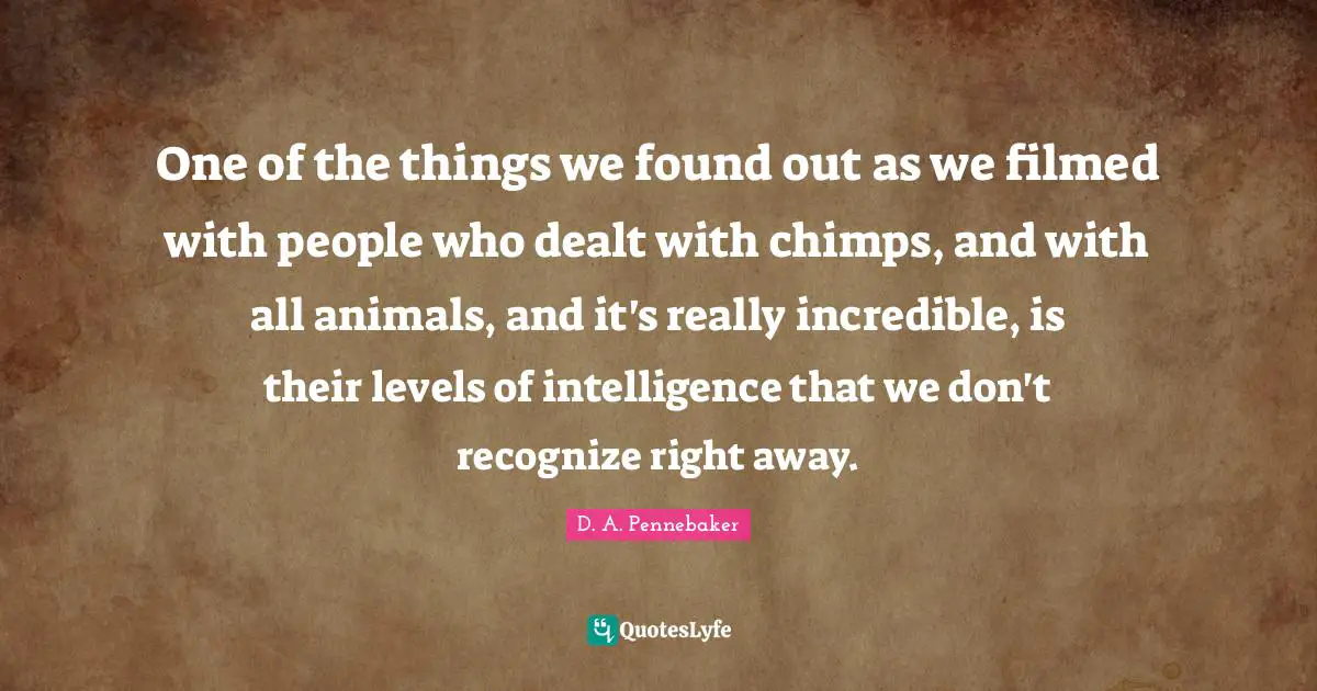 One of the things we found out as we filmed with people who dealt with chimps, and with all animals, and it's really incredible, is their levels of intelligence that we don't recognize right away.