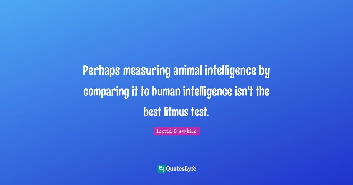 Ingrid Newkirk Quotes: "Perhaps measuring animal intelligence by comparing it to human intelligence isn't the best litmus test."
