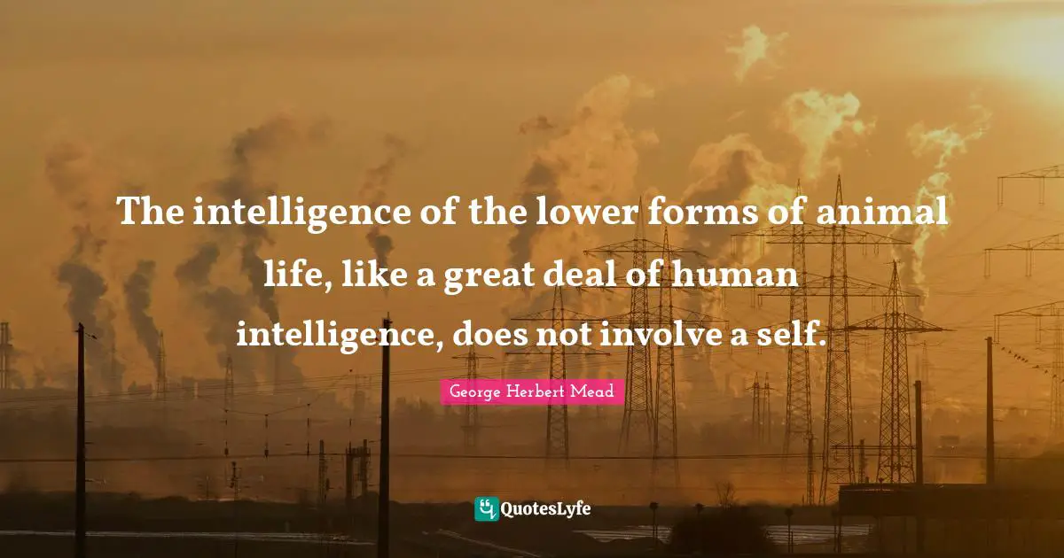 The intelligence of the lower forms of animal life, like a great deal of human intelligence, does not involve a self.