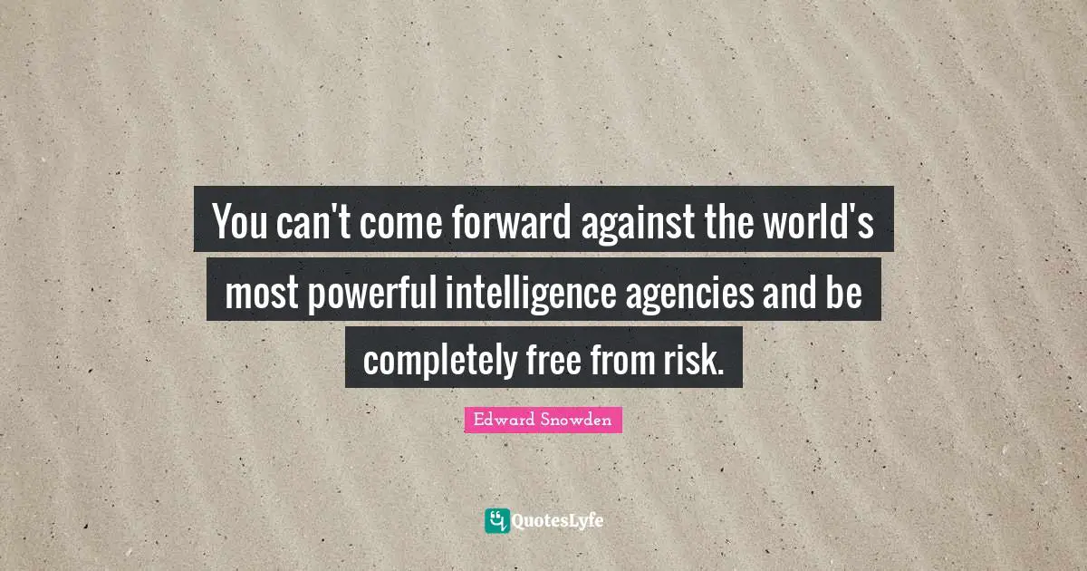 You can't come forward against the world's most powerful intelligence agencies and be completely free from risk.