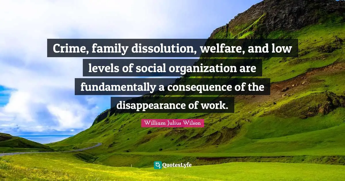 Crime, family dissolution, welfare, and low levels of social organization are fundamentally a consequence of the disappearance of work.