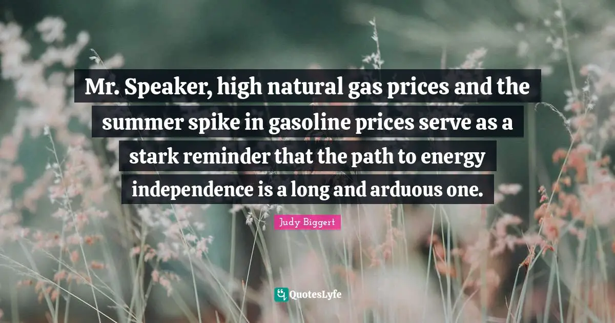 Mr. Speaker, high natural gas prices and the summer spike in gasoline prices serve as a stark reminder that the path to energy independence is a long and arduous one.