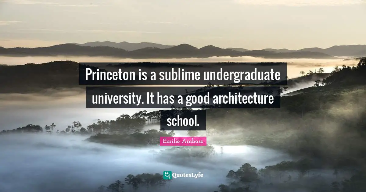 Princeton is a sublime undergraduate university. It has a good architecture school.