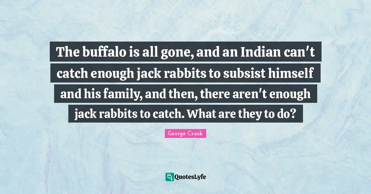 The buffalo is all gone, and an Indian can't catch enough jack rabbits to subsist himself and his family, and then, there aren't enough jack rabbits to catch. What are they to do?