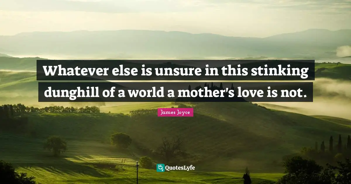 Whatever else is unsure in this stinking dunghill of a world a mother's love is not.