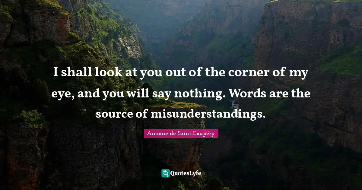 I shall look at you out of the corner of my eye, and you will say nothing. Words are the source of misunderstandings.