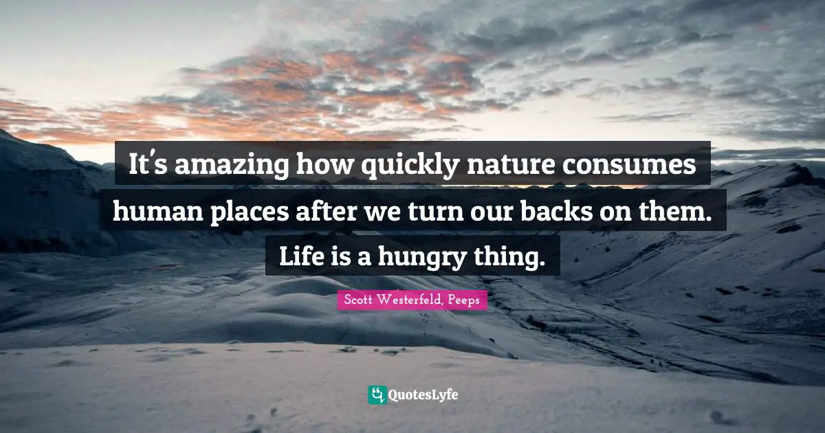 It's amazing how quickly nature consumes human places after we turn our backs on them. Life is a hungry thing.