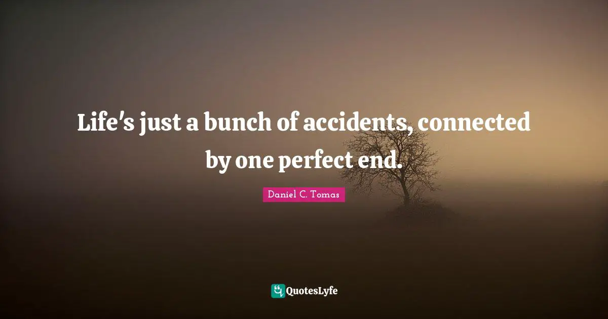 Life's just a bunch of accidents, connected by one perfect end.