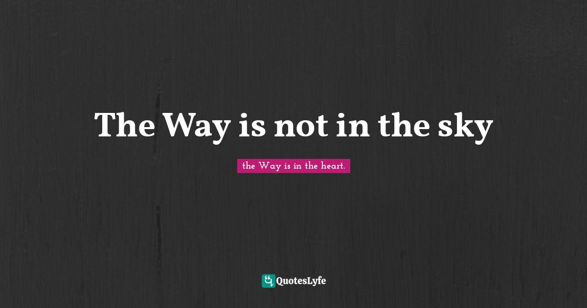 The Way is not in the sky