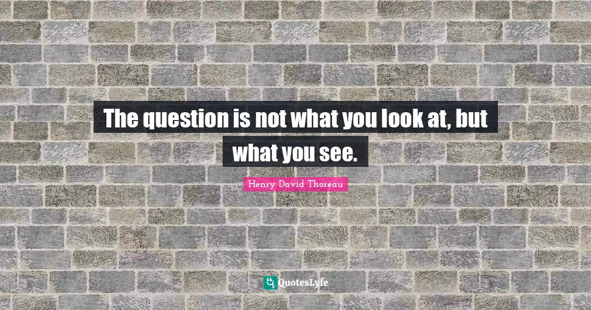 Henry David Thoreau Quotes: The question is not what you look at, but what you see.